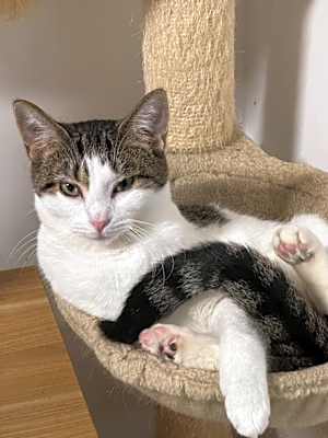 Photo of Callie Mae #image