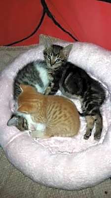 Photo of Tabitha #image