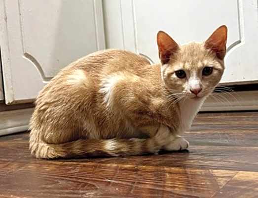 Photo of Gerri #image
