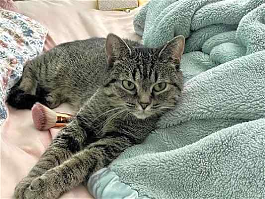 Photo of Virginia #image