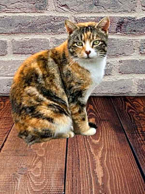 Photo of Stacy #image