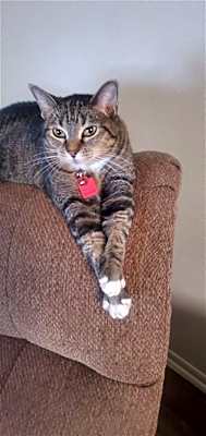 Photo of Mary Jane #image