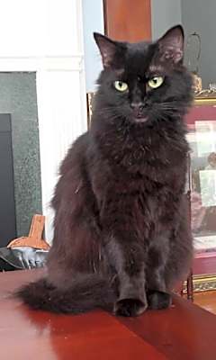 Photo of Sophia #image