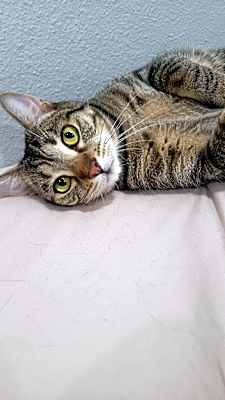 Photo of Marley #image