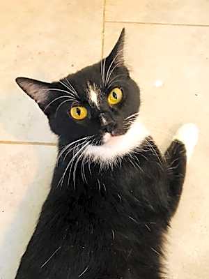 Photo of Luna #image