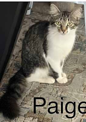 Photo of Paige #image