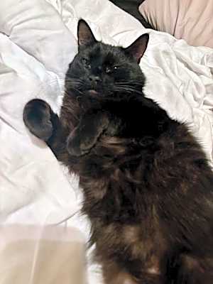 Photo of Jammy #image