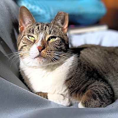 Photo of Holly Berry (I'm in foster care!) #image