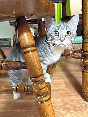 Photo of Minnie #image