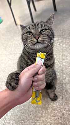 Photo of Beebz #image