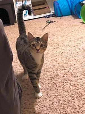Photo of Wilbur #image