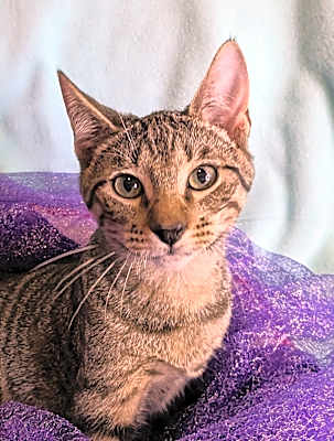 Photo of Hester #image