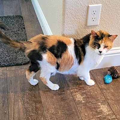 Photo of NALA #image