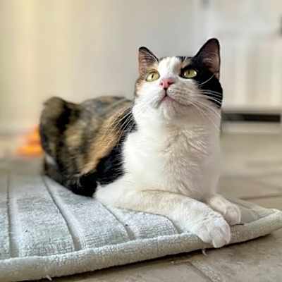 Photo of Frannie #image
