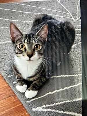 Photo of zz - Cici #image
