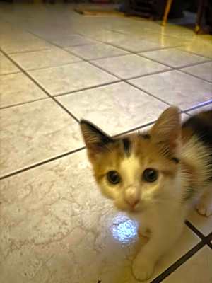 Photo of Mimi #image