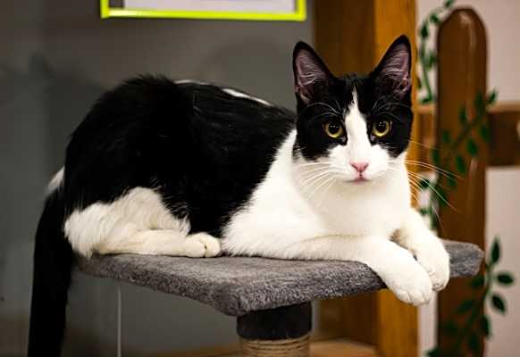 Photo of Archie #image