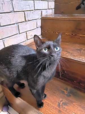 Photo of Monty #image