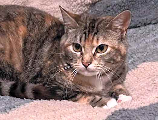 Photo of Elora #image