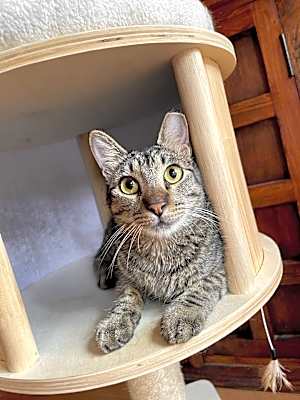 Photo of Rocco #image