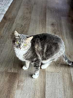 Photo of Delilah 3 #image