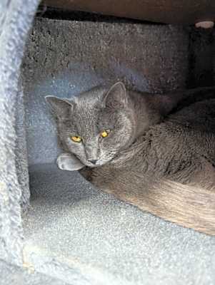 Photo of Carley #image