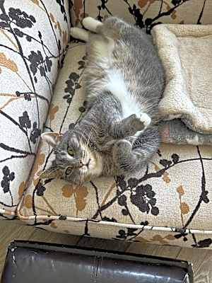 Photo of Maggie #image