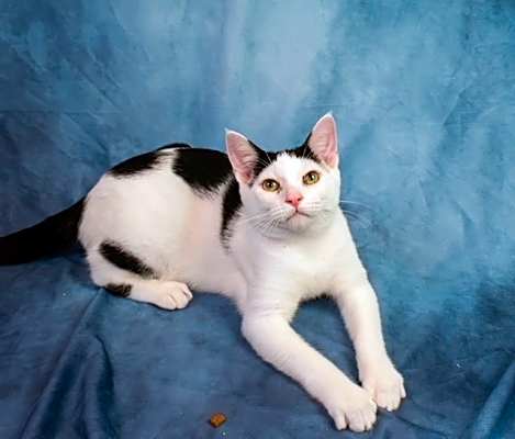 Photo of Jack-Jack #image