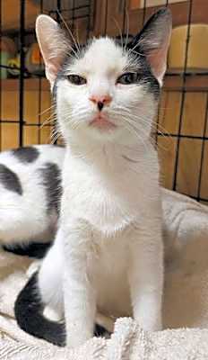 Photo of Eloise #image