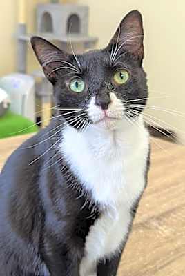 Photo of Missy #image