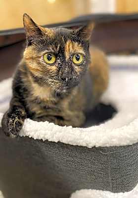 Photo of Peek A Boo #image