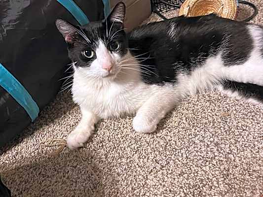 Photo of Buddy #image