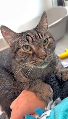 Photo of Spike #image