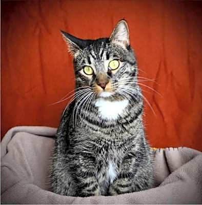 Photo of Kingston #image