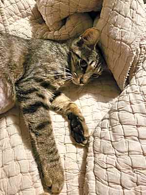 Photo of Ruby #image