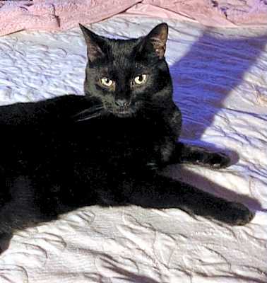Photo of Ray #image
