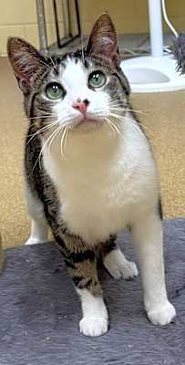 Photo of Beau #image
