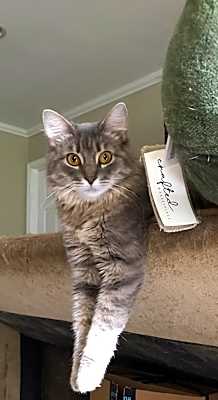 Photo of Kiki #image