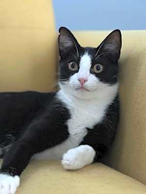 Photo of Buddy #image