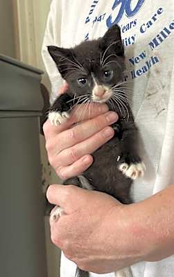 Photo of Shenandoah #image