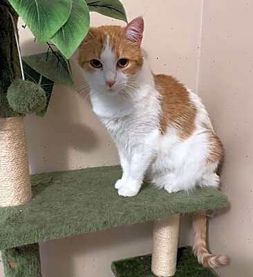 Photo of Penelope #image