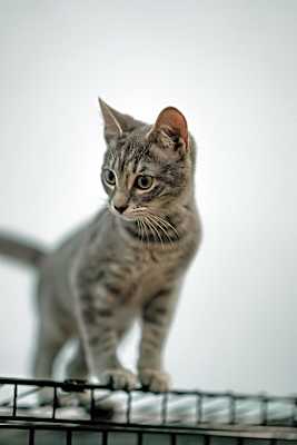 Photo of Chloe #image