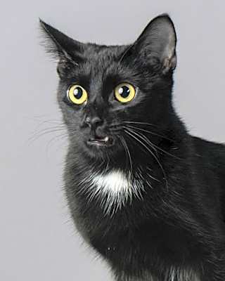Photo of Giselle #image