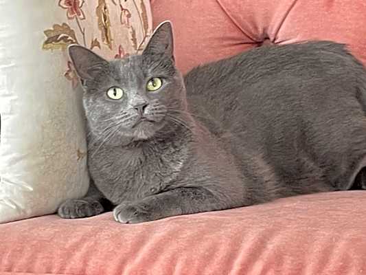 Photo of Naomi #image