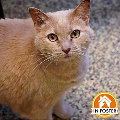 Photo of Phyllis #image