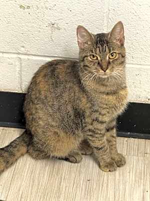 Photo of Pootie #image