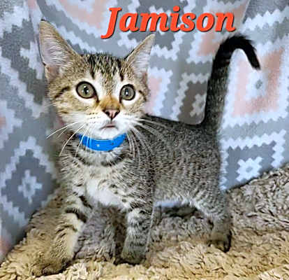Photo of Jamison #image