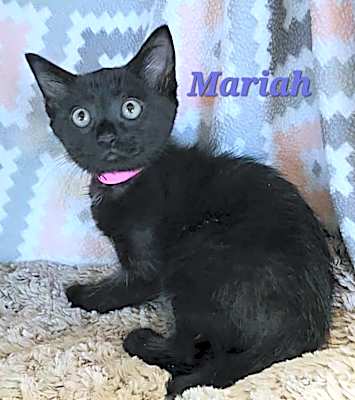 Photo of Mariah #image