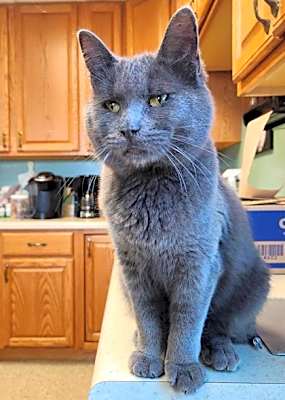 Photo of Elgie #image