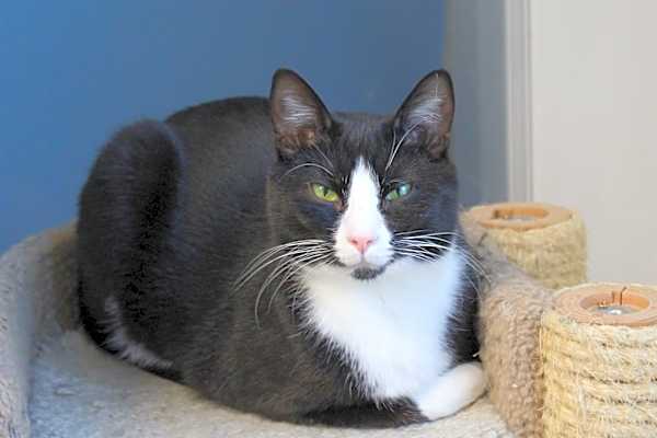 Photo of Georgie #image